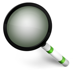 Magnifier Green Icon 256x256 png